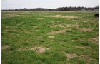 Tract 3 - REAL ESTATE AUCTION, 60 +/- Acres offered in 3 Tracts Swine Operation